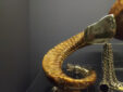 Regimental Powder Horn